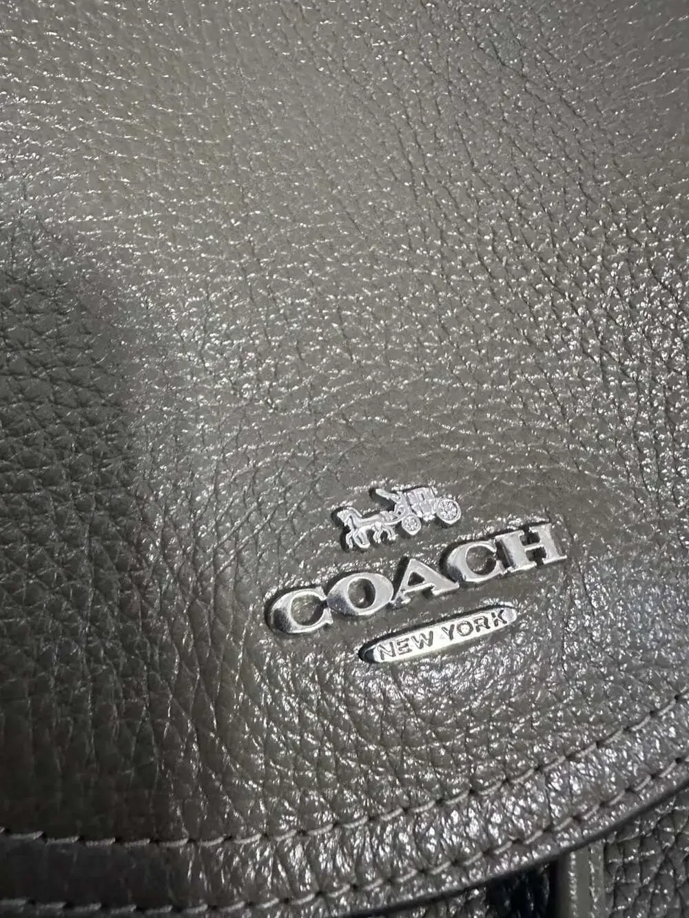 Coach Pennie Backpack in Surplus Pebbled Leather (Style No. 6145)
